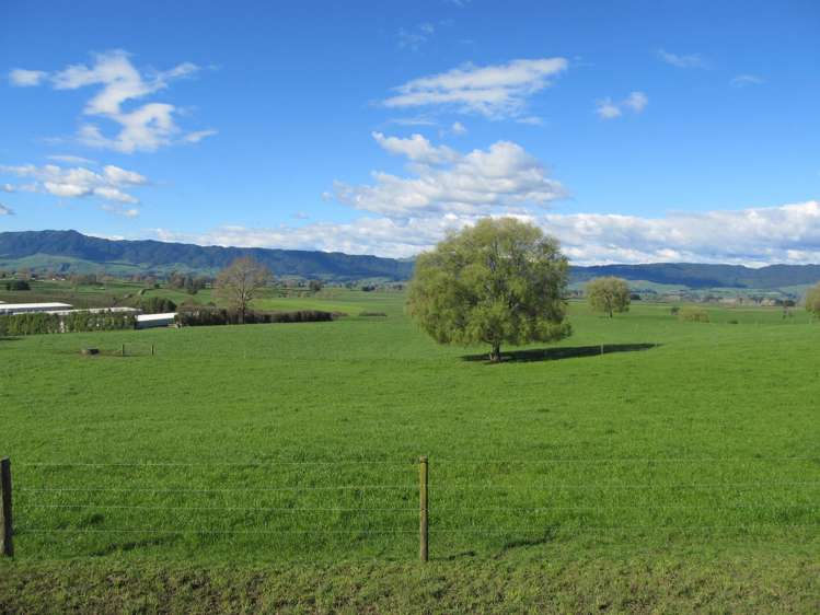 253 Rangitanuku Road Te Poi_10