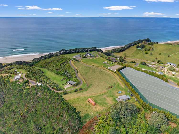 761F State Highway 2 Pikowai Pikowai_17