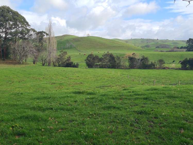 1325 Morrinsville-Tahuna Road Tahuna_22