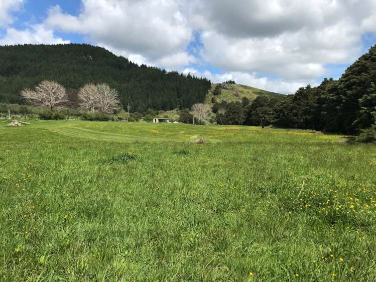 793 Whangaripo Valley Road Whangaripo_28