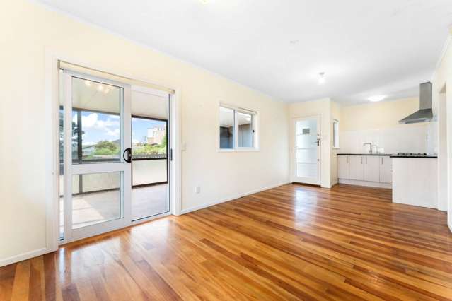 481 Hillsborough Road Mount Roskill_3
