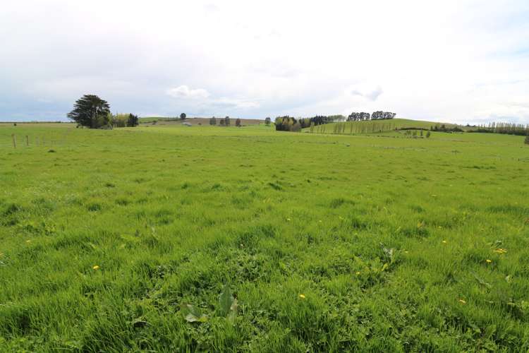 96b Pinnacle Road Gore Surrounds_6