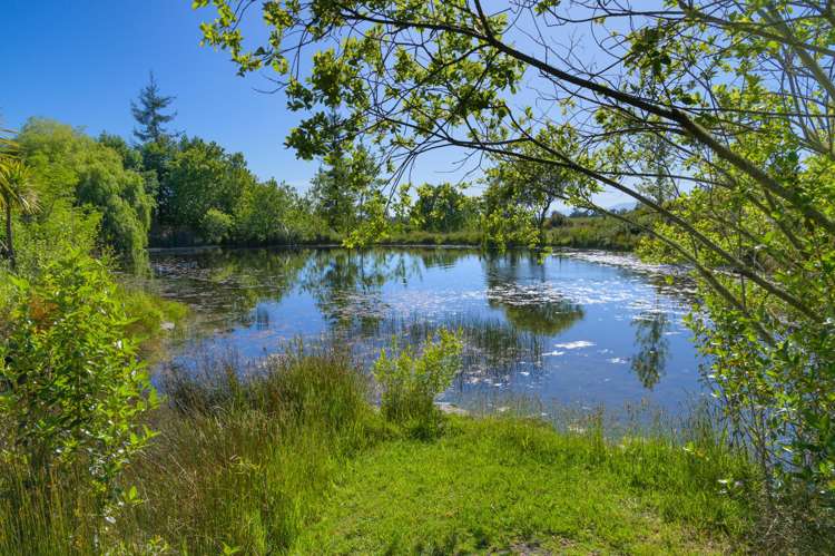 108 Horton Road Tasman_18