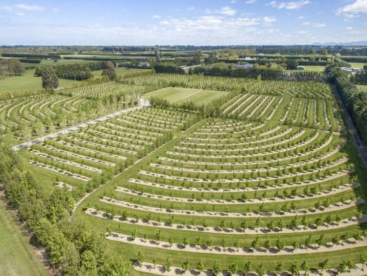 293 Lawford Road West Melton_7