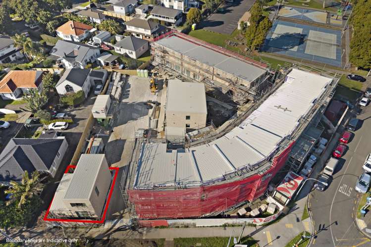 1 Olea Road Onehunga_20