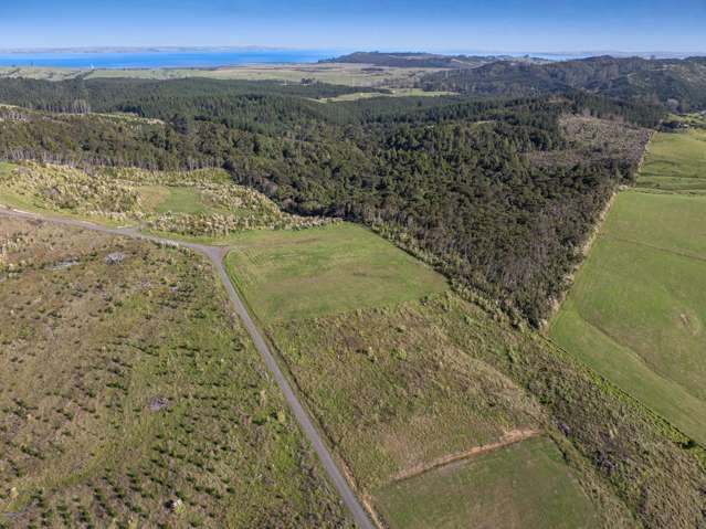 201B Tuhirangi Road Makarau_1