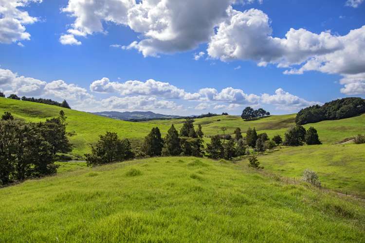 Lot 1 Oetzman Rd Hikurangi Rd2_1