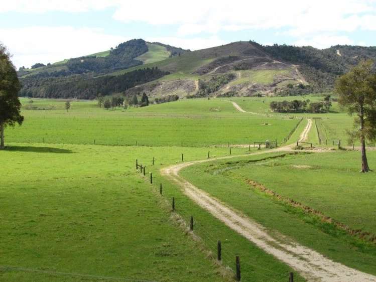 201 Rangiahua Road Horeke_18