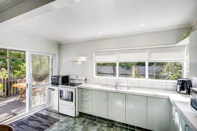 18 Plunket Street Tamatea_4