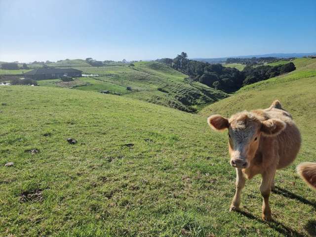 1190 Awhitu Road Waiuku_3