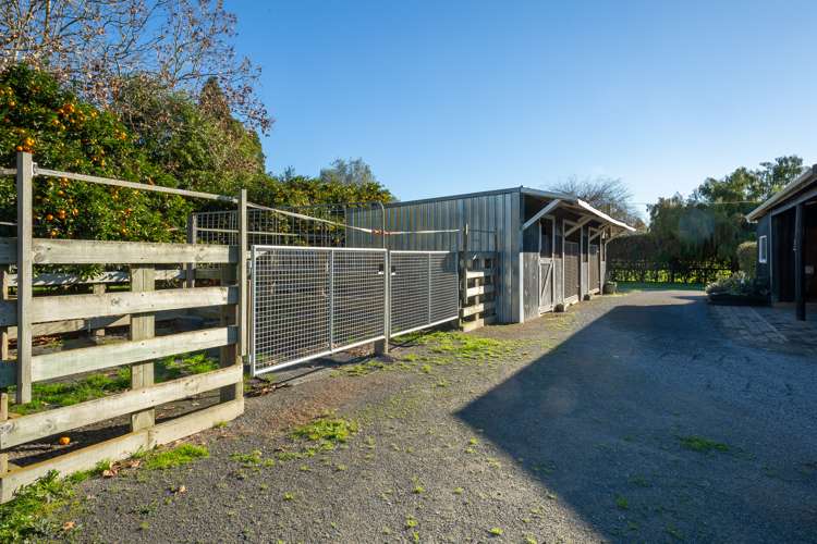 19 Brinkworth Road Tamahere_20