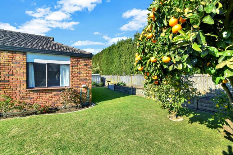 34 Bayfair Drive Mount Maunganui_26