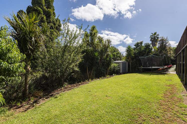 38 Scott Road Tamaterau_15