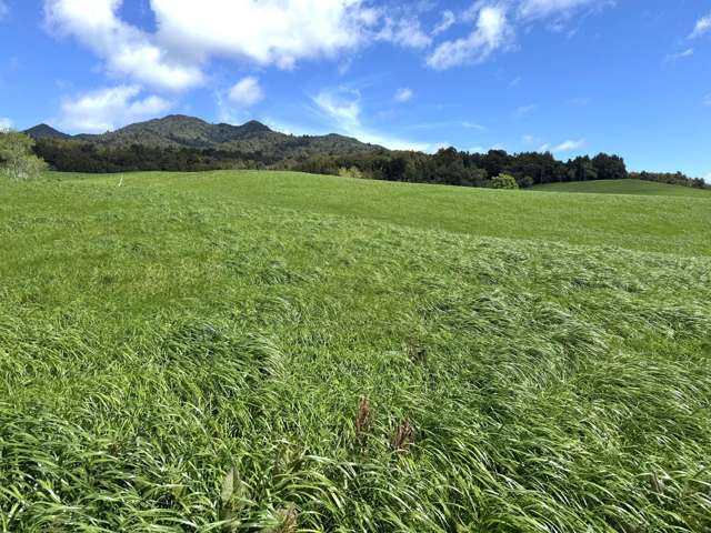 3/585 O'Shea Road Pirongia_4