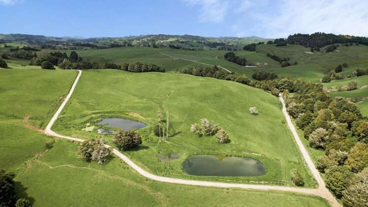 2051 Paparoa-Oakleigh Road Taipuha_24