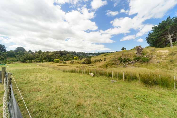 149 Albert Road Palmerston North Central_21