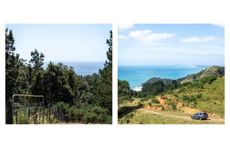 31 Ngatitangata Road Waihi_16