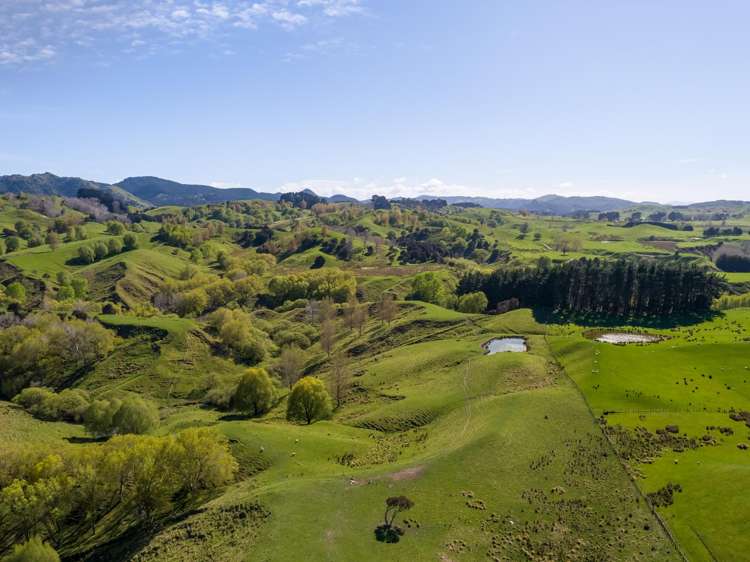 2122 Masterton Castlepoint Road Masterton_47