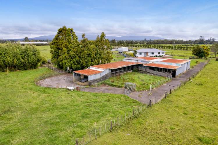 145 Johns Road Tariki_25