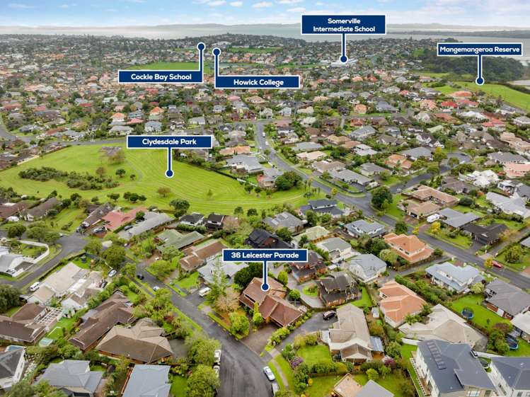 36 Leicester Parade Somerville_29