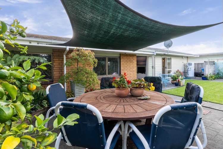 329 Westminster Avenue Tamatea_17