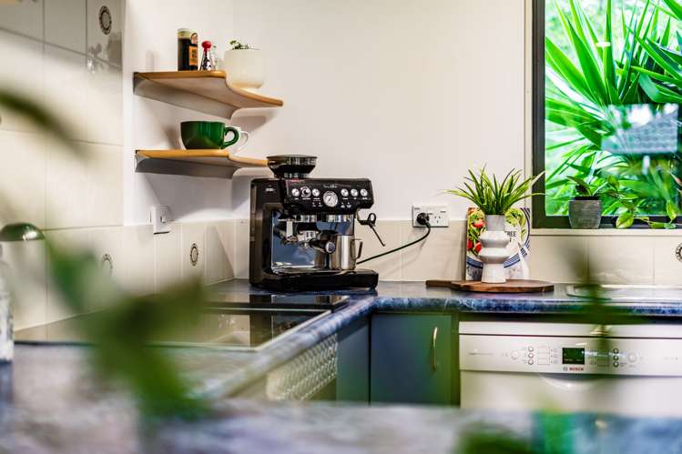 17 Ruze Vida Drive Massey_8