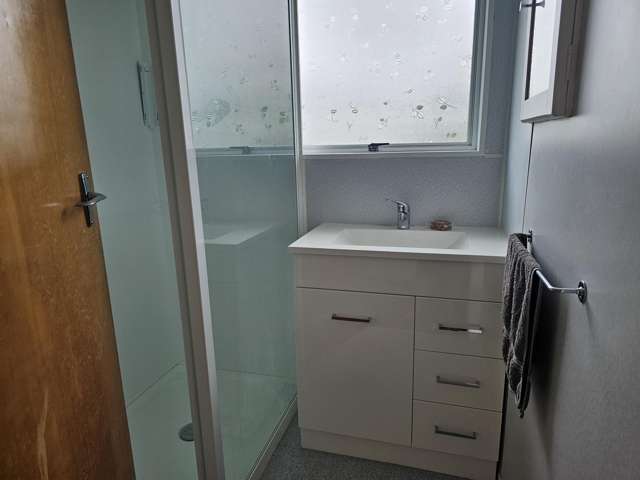 129 Liverpool Street Levin_3