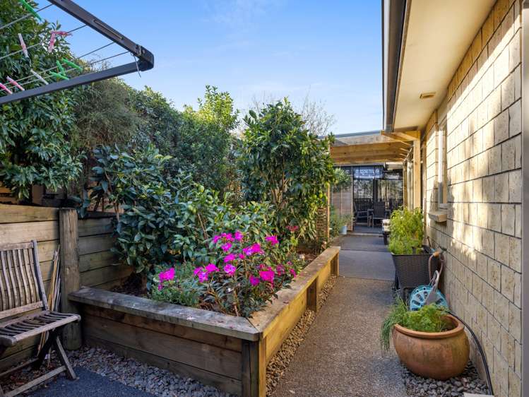 55b Christopher Street Tauranga South_16