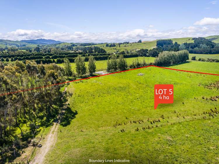 Lot 5, 216 Donovans Road Masterton_4