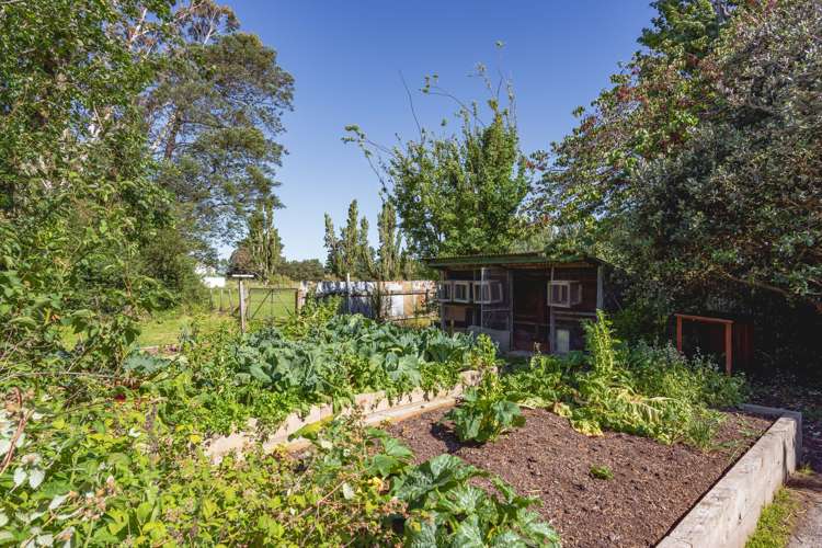 89 No 1 Line Tauwharenikau_24