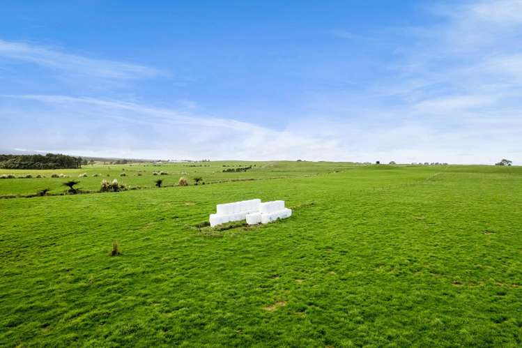 294 Kiri Road Te Kiri_14