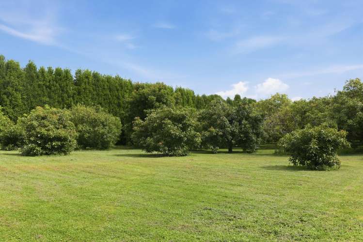 151a Hereford Road Oropi_16