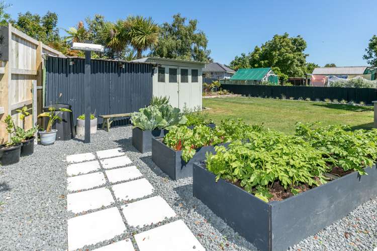 31 Galway Avenue Hamilton East_10