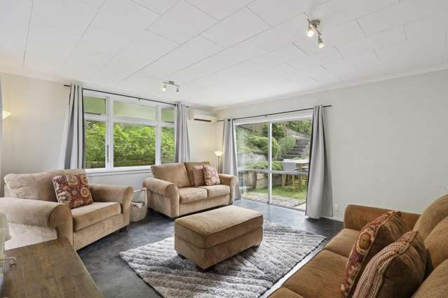 223 Tomahawk Road Andersons Bay_1