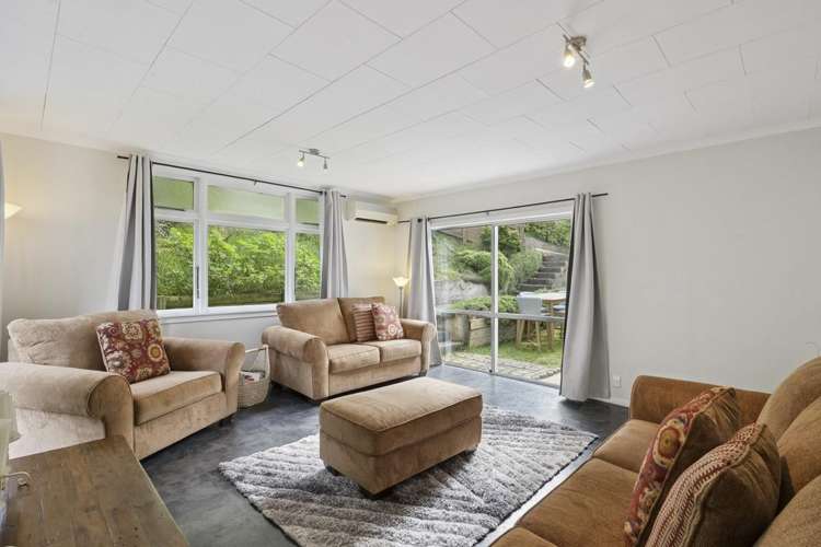 223 Tomahawk Road Andersons Bay_1