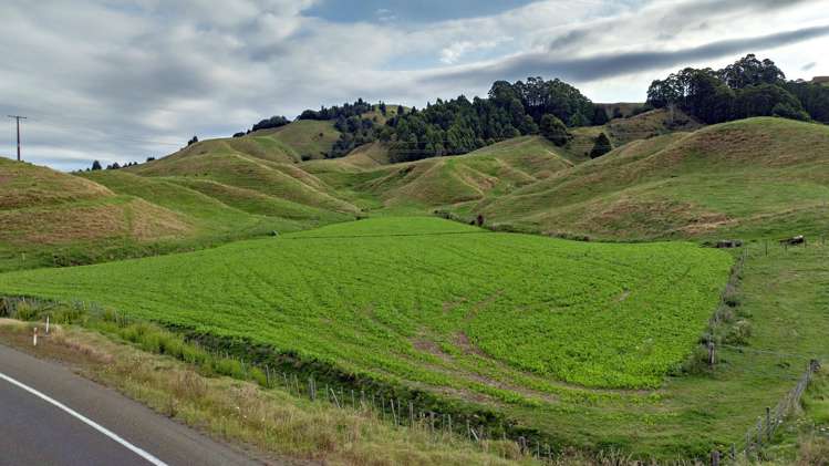 2140 State Highway 2, Nukuhou North Whakatane_2