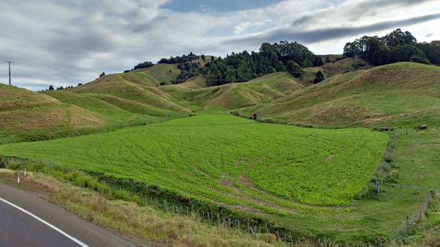 2140 State Highway 2, Nukuhou North Whakatane_2