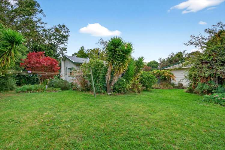51 Millard Avenue Kuripuni_19