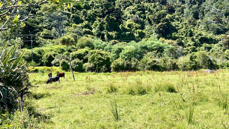 37 Nikau Road, State Highway 67 Hector_30