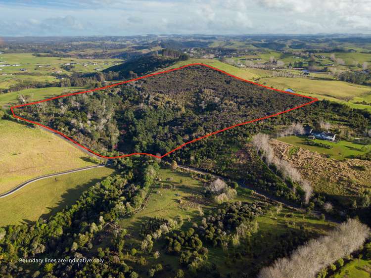 27 Kurapari Road Kerikeri_5