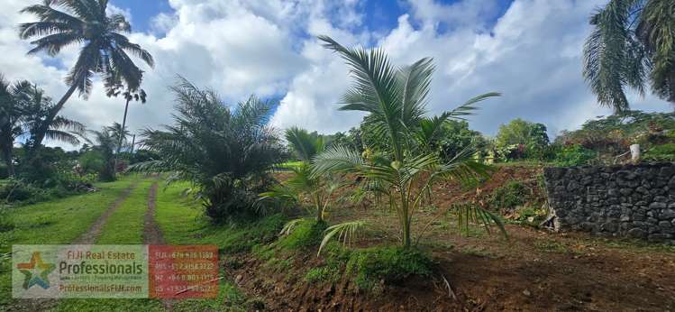 Address withheld Savusavu_4