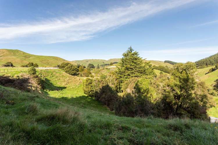 496 Pukeatua Road Dannevirke_11