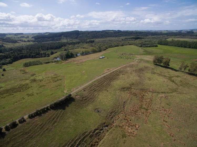 137 Sanson Road Ruawaro_27