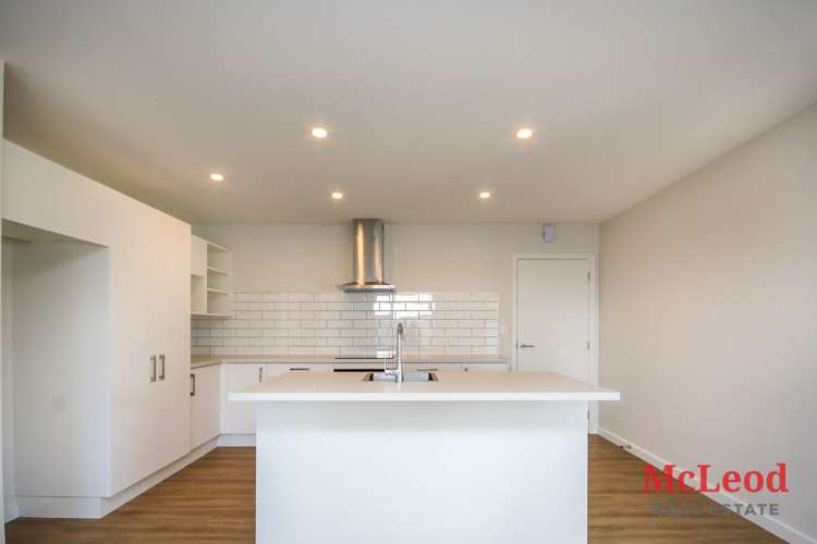 86a George Street Tinwald_5