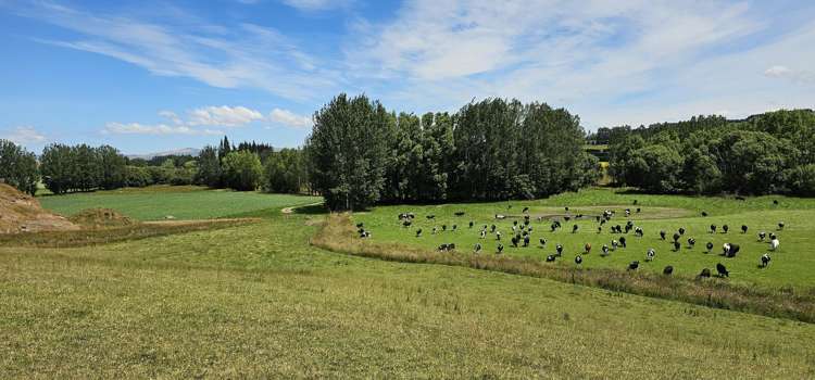 289 Otama Valley Road Otama_21