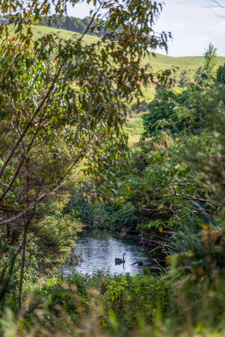 70 Pukeko Lane Kerikeri_33