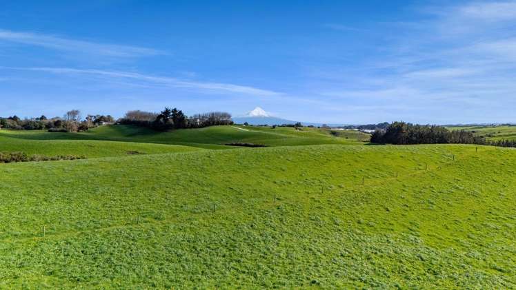 2A Ropata Street Hawera_11