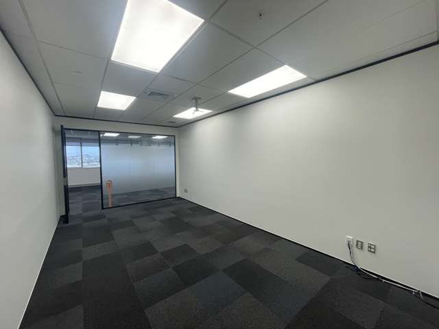 45 O'Rorke Road Penrose_4