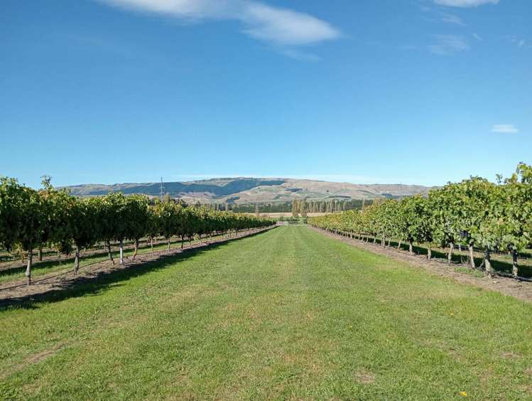 337 Mackenzies Road Waipara_14