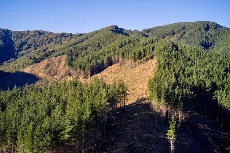 Crail Bay Kenepuru Sound_19